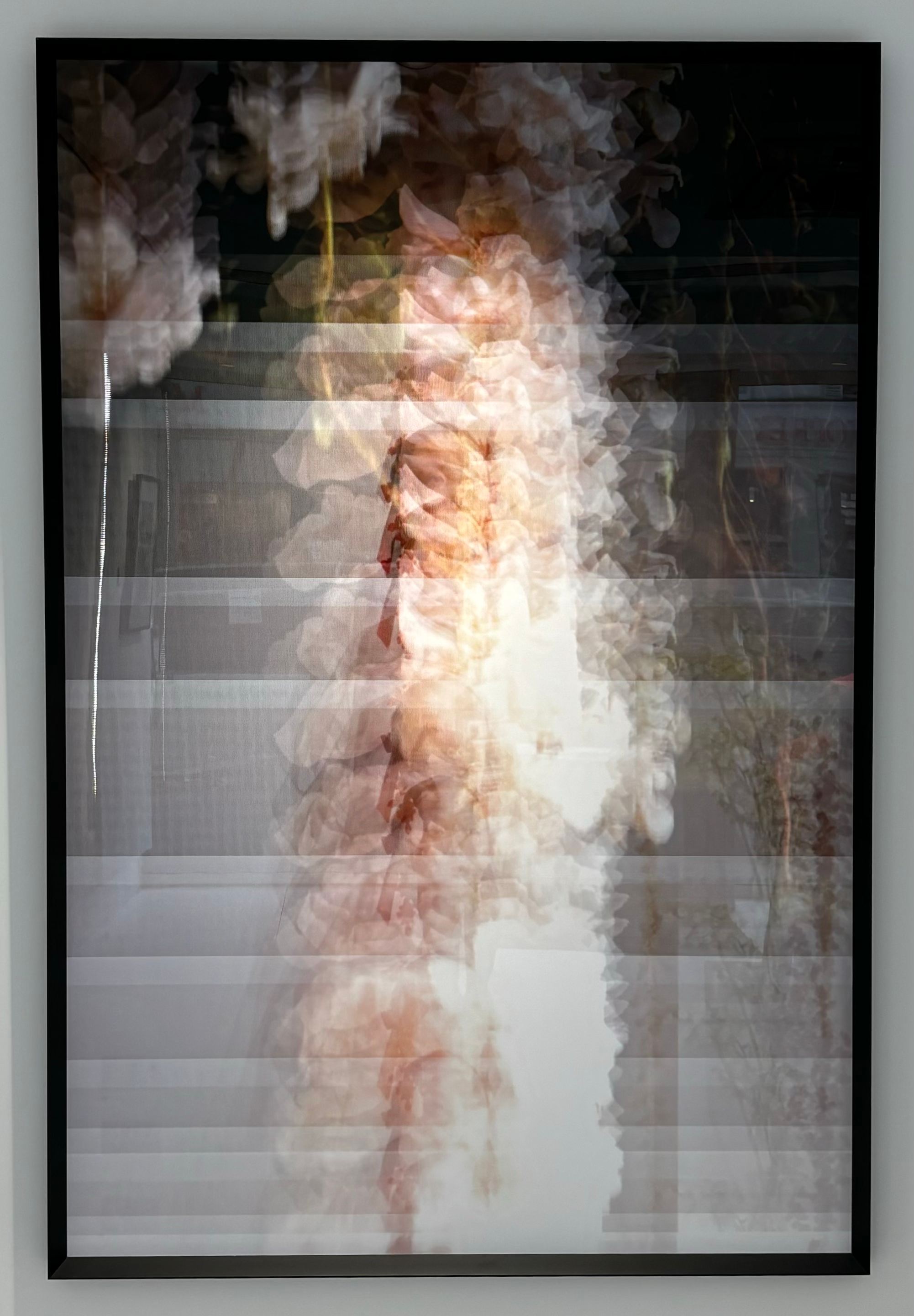 Flower,  contemporary art photography by Joachim Romain