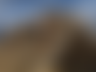 Train for Tough Mudder Austin 2026 in Grand Prairie TX