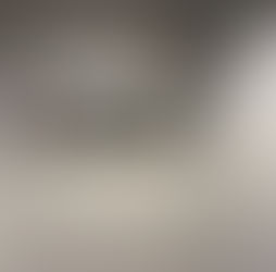 JAL機体工場見学&隅田川お花見屋形船