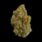 Orange Bud