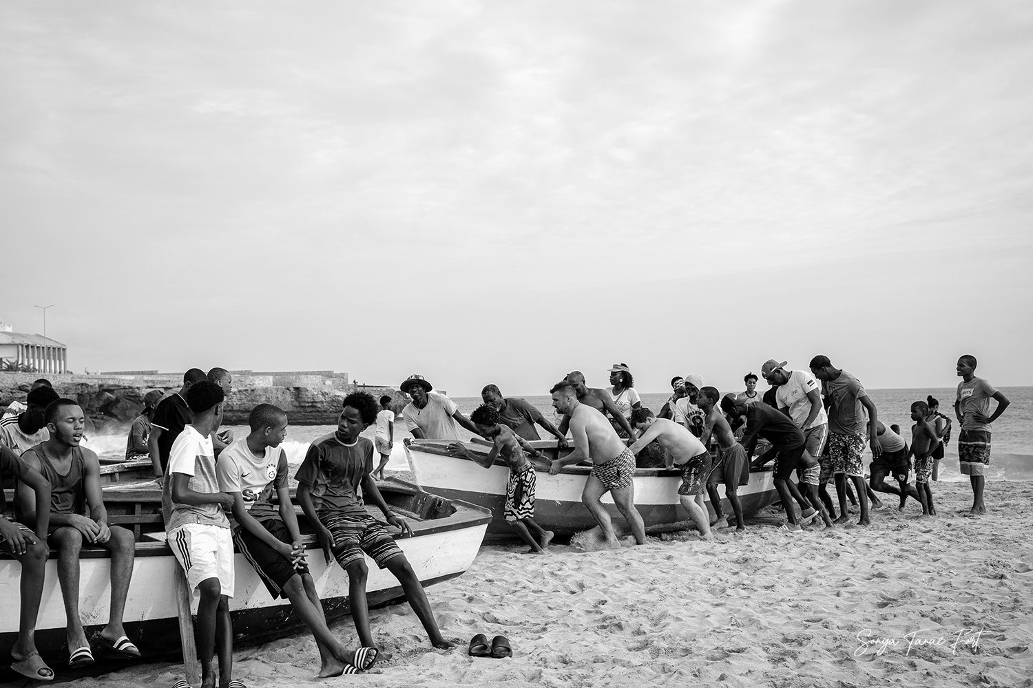 Teamwork
© Sonya Tanae Fort