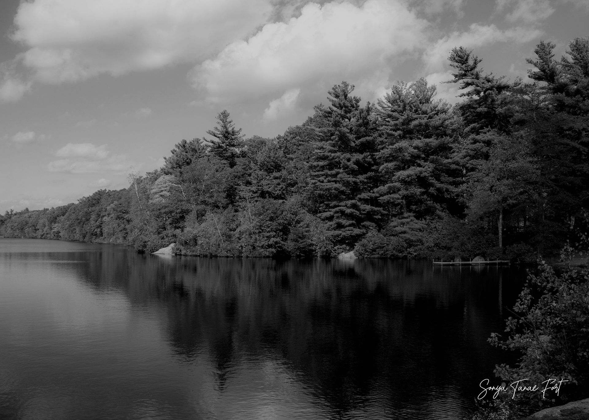 Reflections of Peace