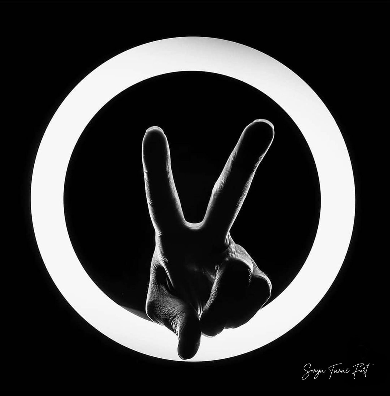The Hand: A Physical Representation of Emotions - Peace 
© Sonya Tanae Fort