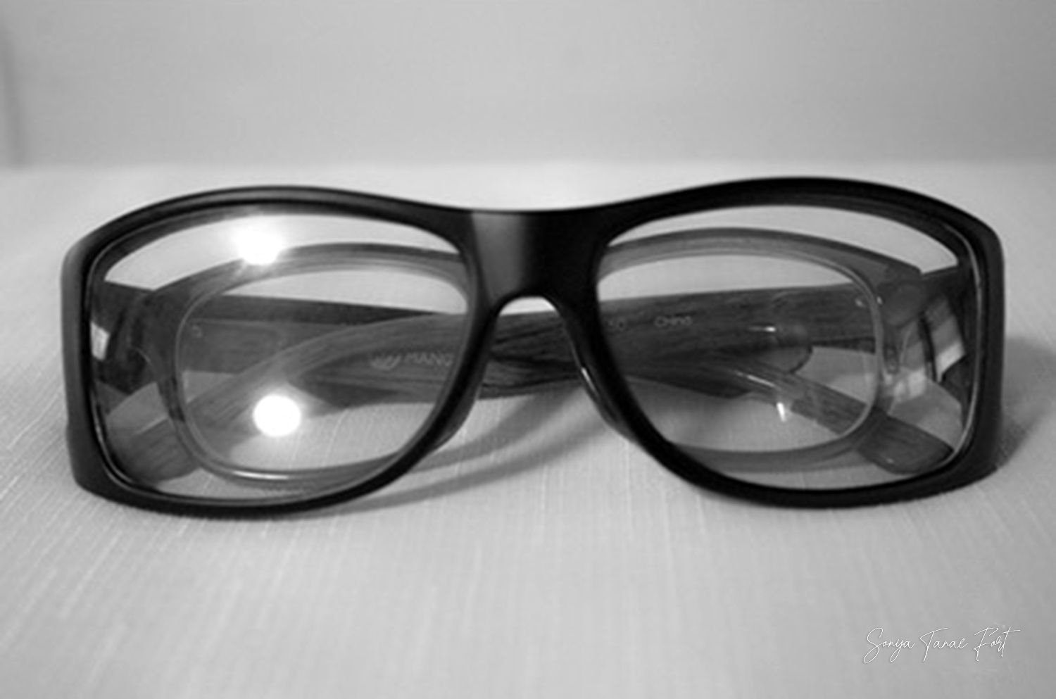 Double Vision 
© Sonya Tanae Fort