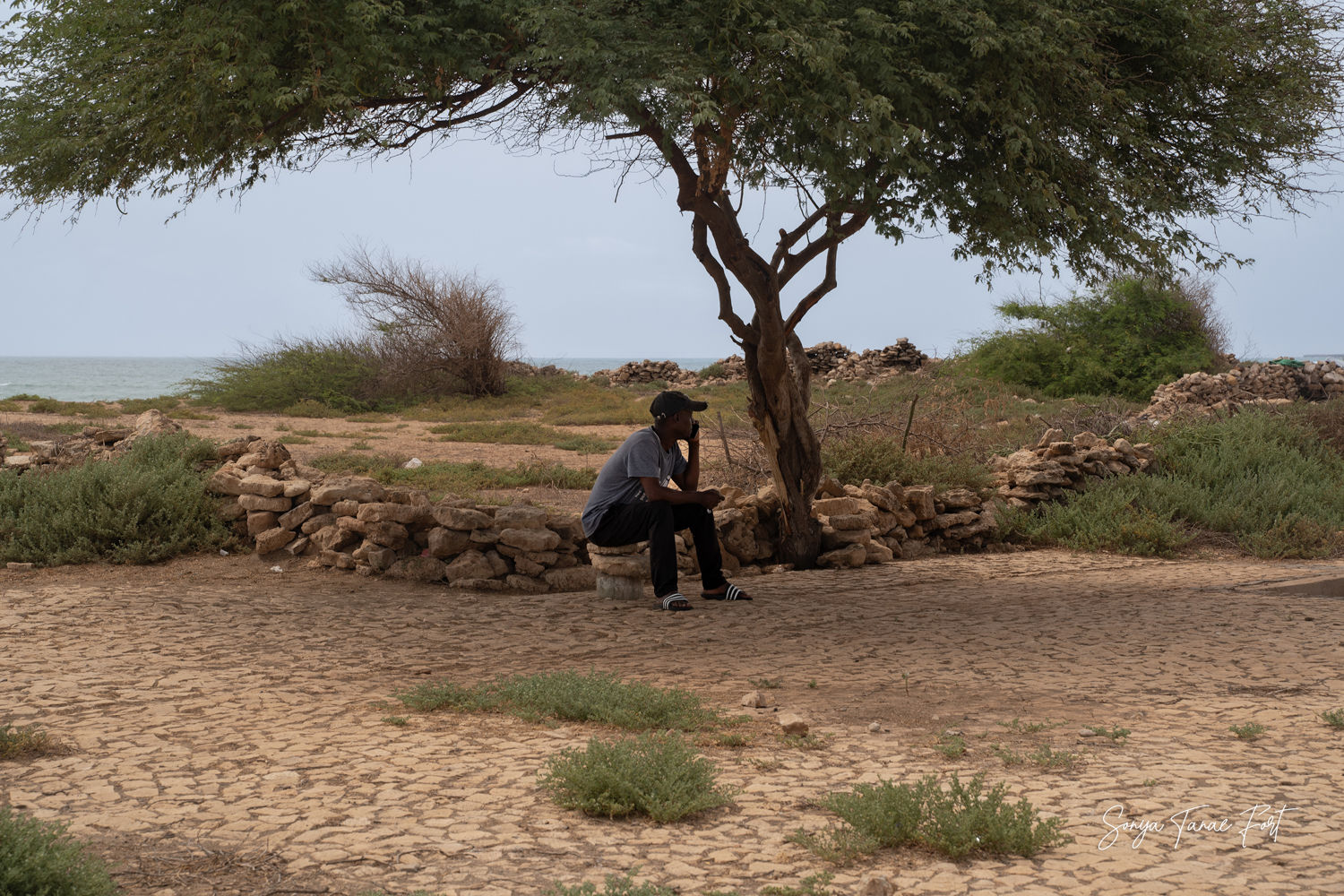 Quiet Conversation
© Sonya Tanae Fort