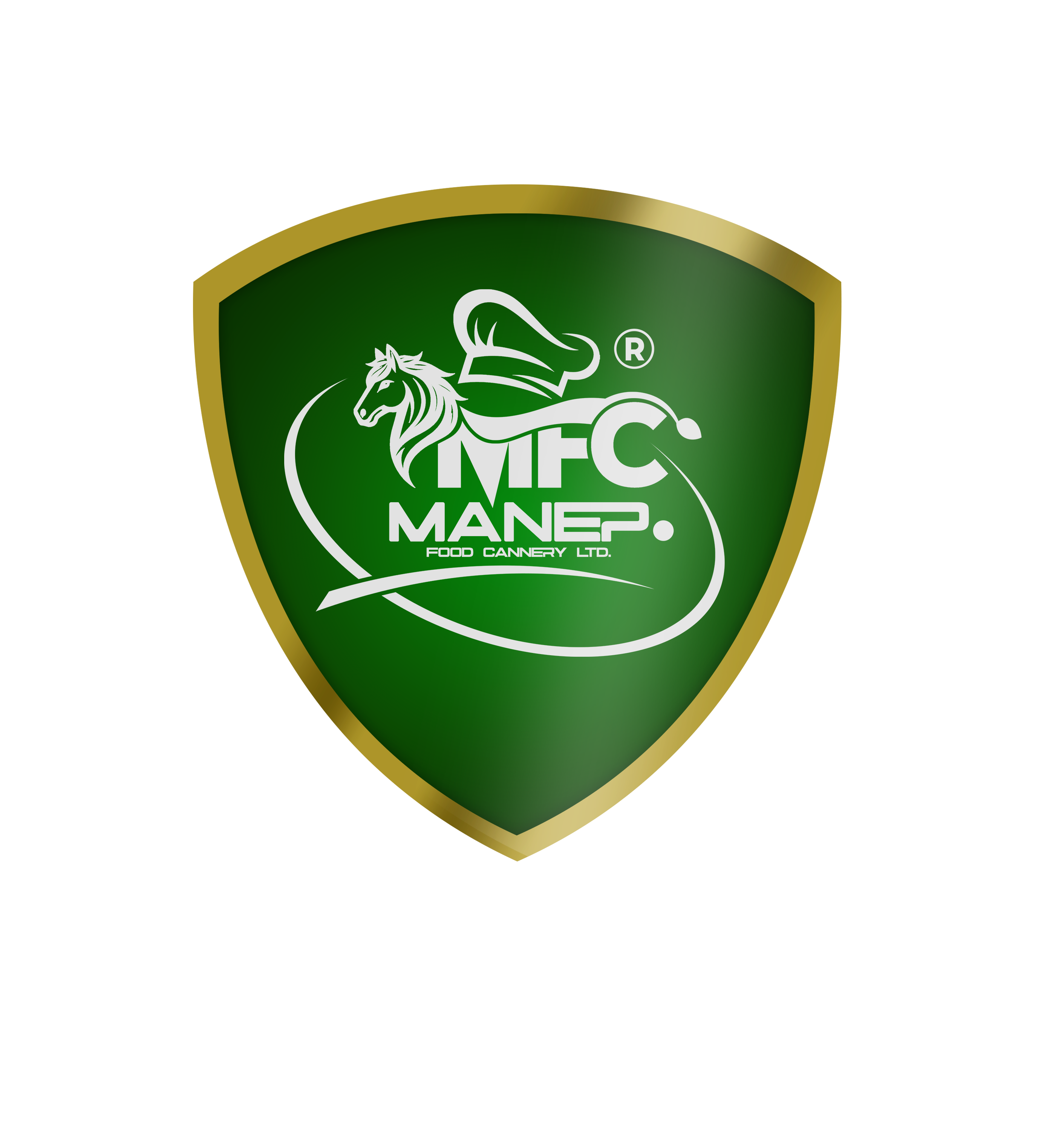 MANEP LOGO CODED WITH LIGHT_edited.png
