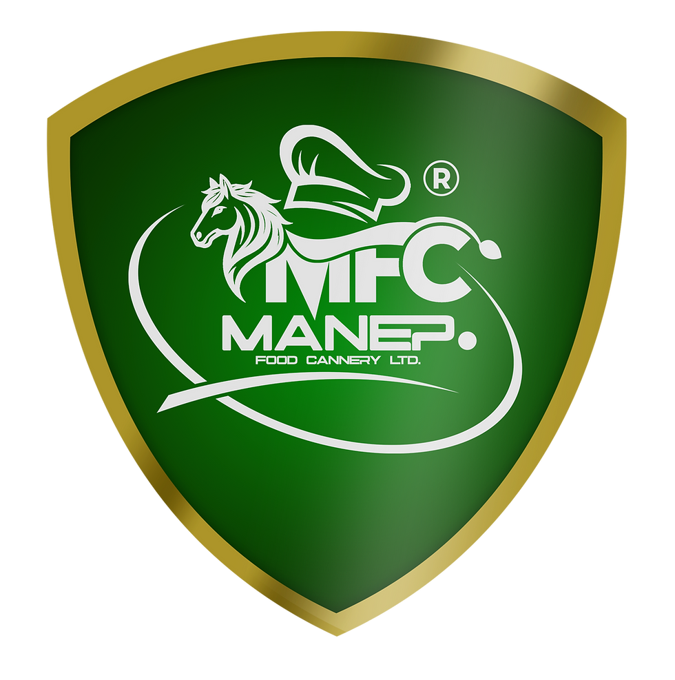 MANEP LOGO CODED WITH LIGHT_edited.png