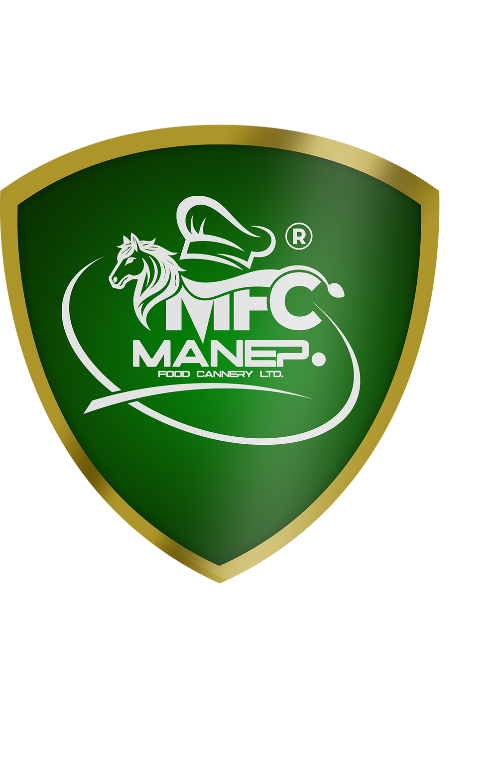 MANEP LOGO CODED WITH LIGHT.png