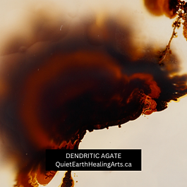 Photo of Dendritic Agate, a transparent stone with fern-like markings, known to bring abundance, peace and fullness to all aspects of life