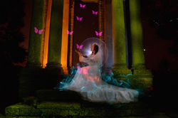 Light painting collab columns 01