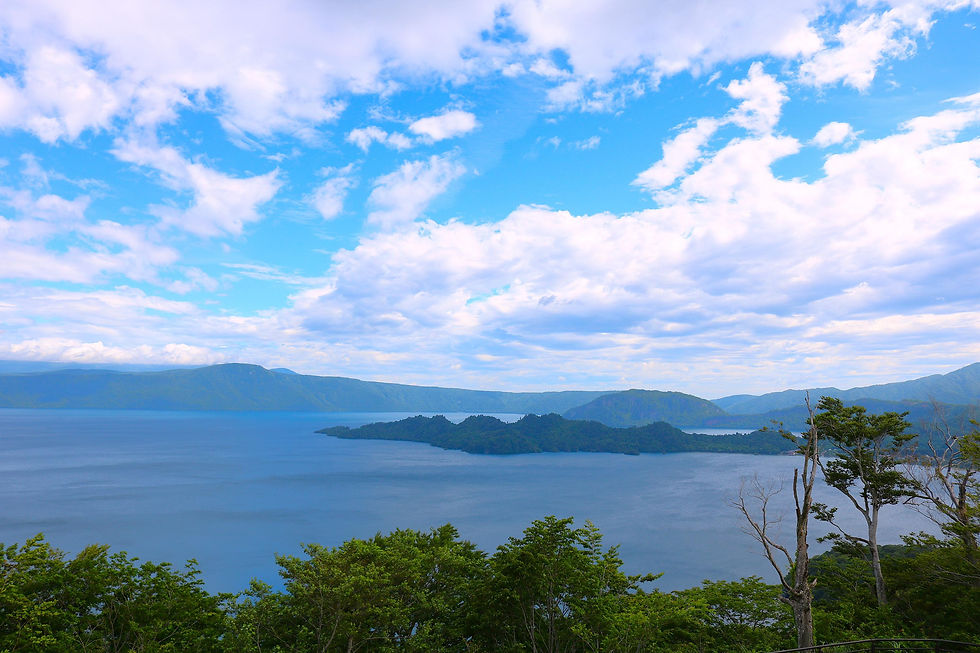 IMG_1071[2]圧縮済み.jpg