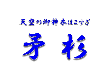販売割引商品 御神木 本榊 5本セット インテリア・住まい・小物