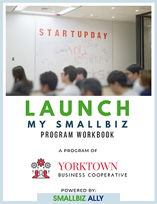 LAUNCH MY SMALLBIZ WORKBOOK (2).png