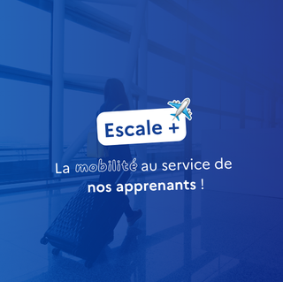 La mobilité des alternants : une expérience qui ouvre des horizons 🌍