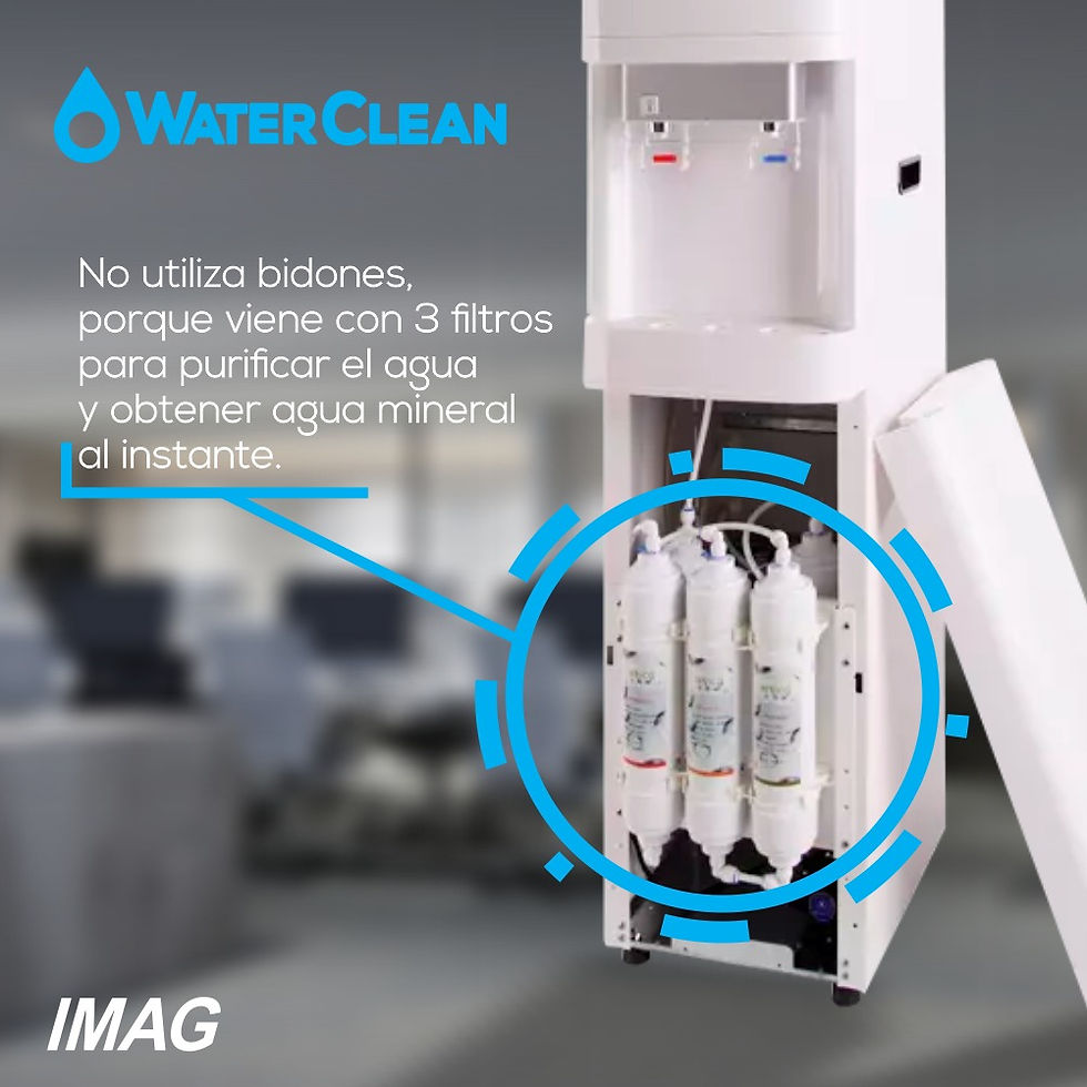 nuevo wline plus (2)
