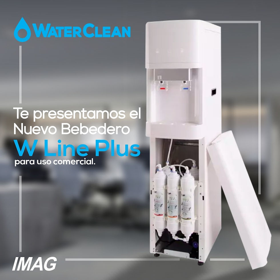 nuevo wline plus (3)