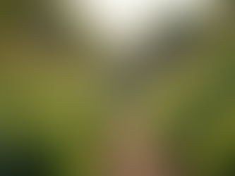 Transforming Nonprofit Strategies for Sustainable Growth