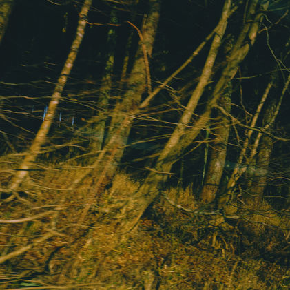 S__91209745.jpg
