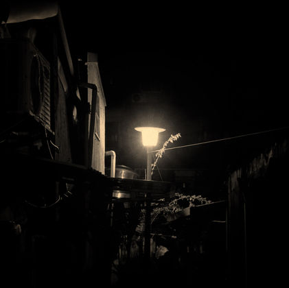 S__91209737-2.jpg