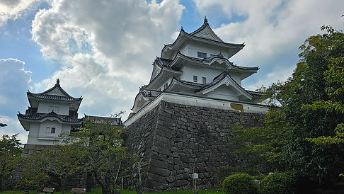 20230913_150238.jpg