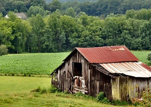 Barn-in-the-Wears-Valley-area-776x415_edited.jpg
