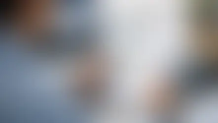 Cómo leer mi reporte de crédito sin perderte