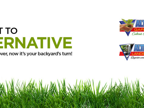 Leave it to Alternative - Q Country 91.5 FM Radio Contest