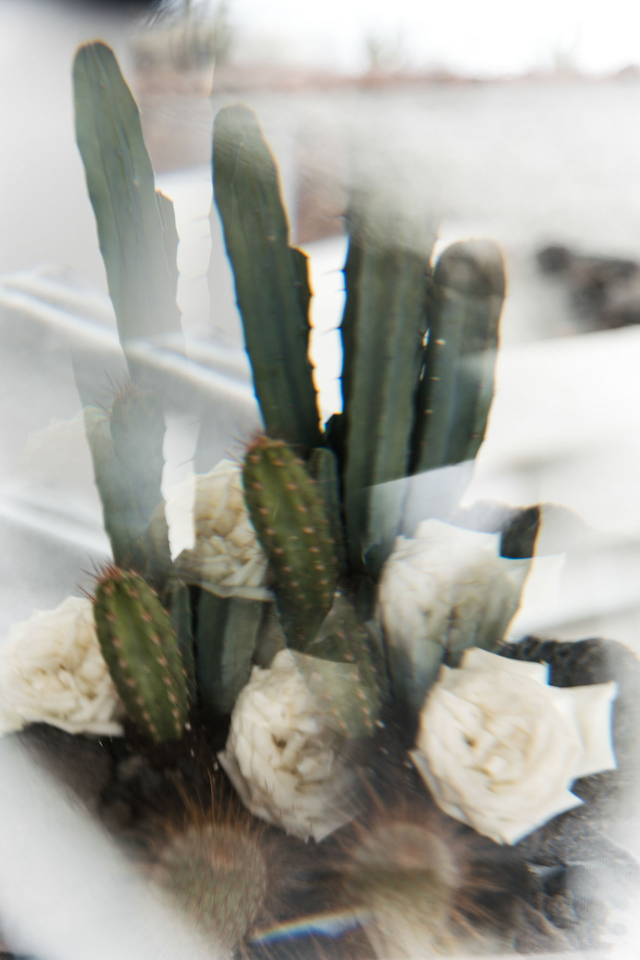 Elegante Hochzeit auf Teneriffa mit floraler Dekoration im Spätsommer