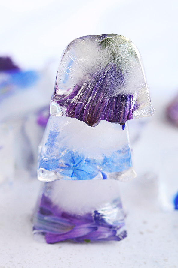 FROZEN