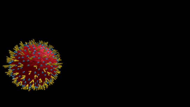 Coronavirus.gif