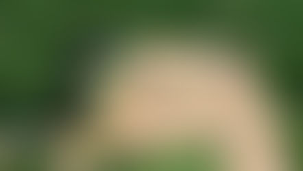 Habitasul entrega Parque de 150 mil m2 no coração de Jurerê Internacional no dia do aniversário de 353 anos de Florianópolis