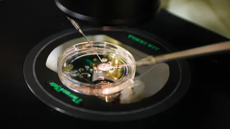 Cientistas conseguem criar embrião humano com DNA retirado de células da pele