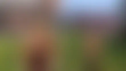 Dona de barbearia nudista que viralizou em Florianópolis instala outdoor na BR-101 em São José