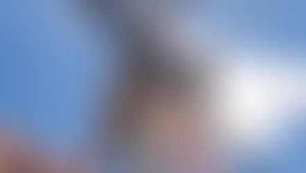 Celesc reúne 300 operadoras e reforça responsabilidade sobre cabos de telecom nos postes