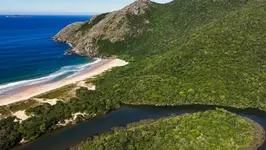 Florianópolis ganha trilha de 95 km que atravessa a Ilha de Norte a Sul