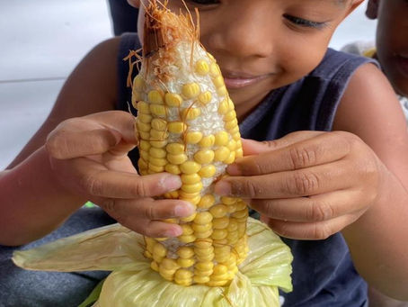 Creche une história de povos indígenas e culinária em ação pedagógica