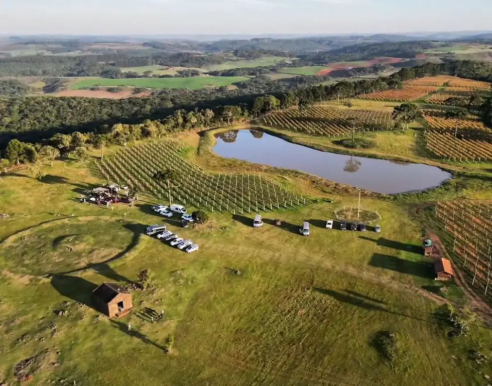 Sebrae/SC promove imersão na Serra Catarinense para empresários de gastronomia e turismo da Grande Florianópolis