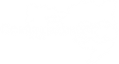 logo jornal comunidade sc 2023 - branco.png