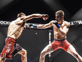 We love MMA