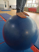 IMG20230204122012.jpg