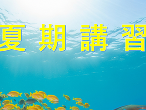夏期講習