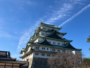 名古屋城に行ってきました。