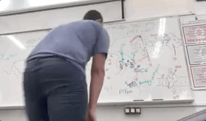 Apr-28-2021 12-34-07.gif