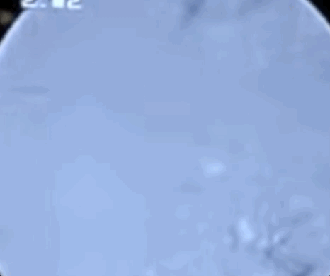 Nov-22-2022 15-50-35.gif