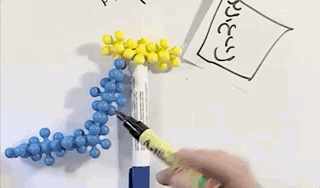 2dfb65_63d9e560d4c8441184cec437be53a536_mv2.gif