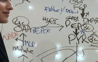 Nov-24-2022 13-39-09.gif