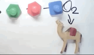 Oct-19-2020 18-45-46.gif