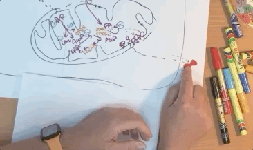 Apr-27-2021 06-53-15.gif
