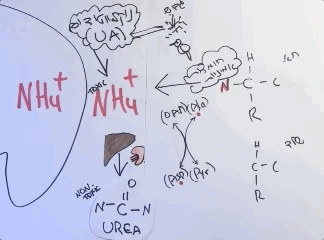 Dec-20-2020 19-10-05.gif