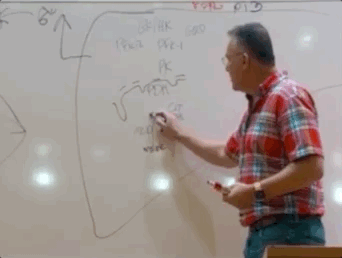 Nov-22-2022 07-03-12.gif